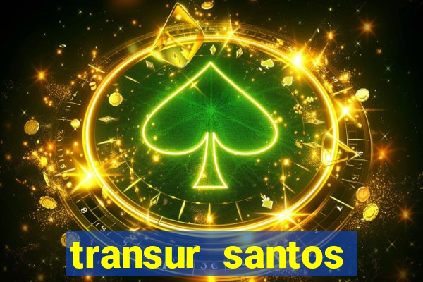 transur santos dumont x juiz de fora 2024